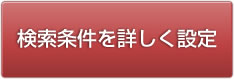 検索条件を詳しく設定